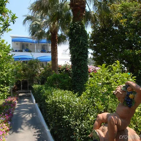Hotel Pazziella Garden&suites